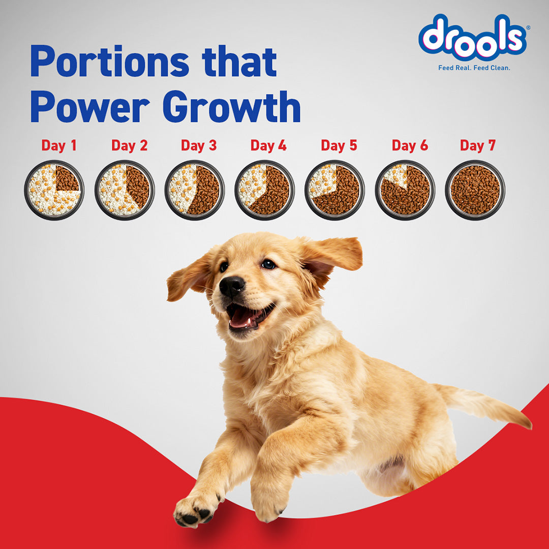 Drools Chicken Egg Puppy 1.2kg Promo