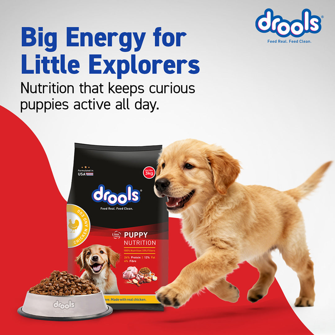 Drools Chicken Egg Puppy 1.2kg Promo