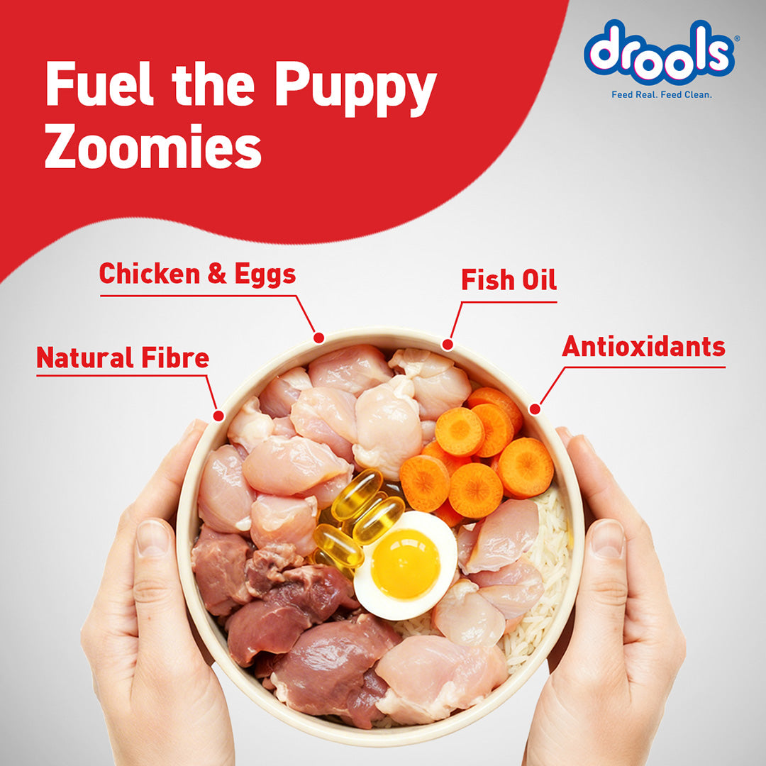 Drools Chicken Egg Puppy 1.2kg Promo