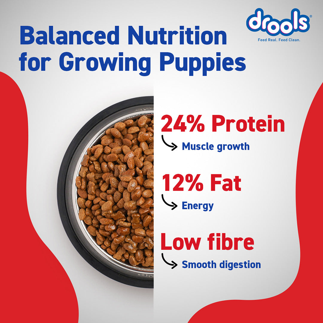 Drools Chicken Egg Puppy 1.2kg Promo