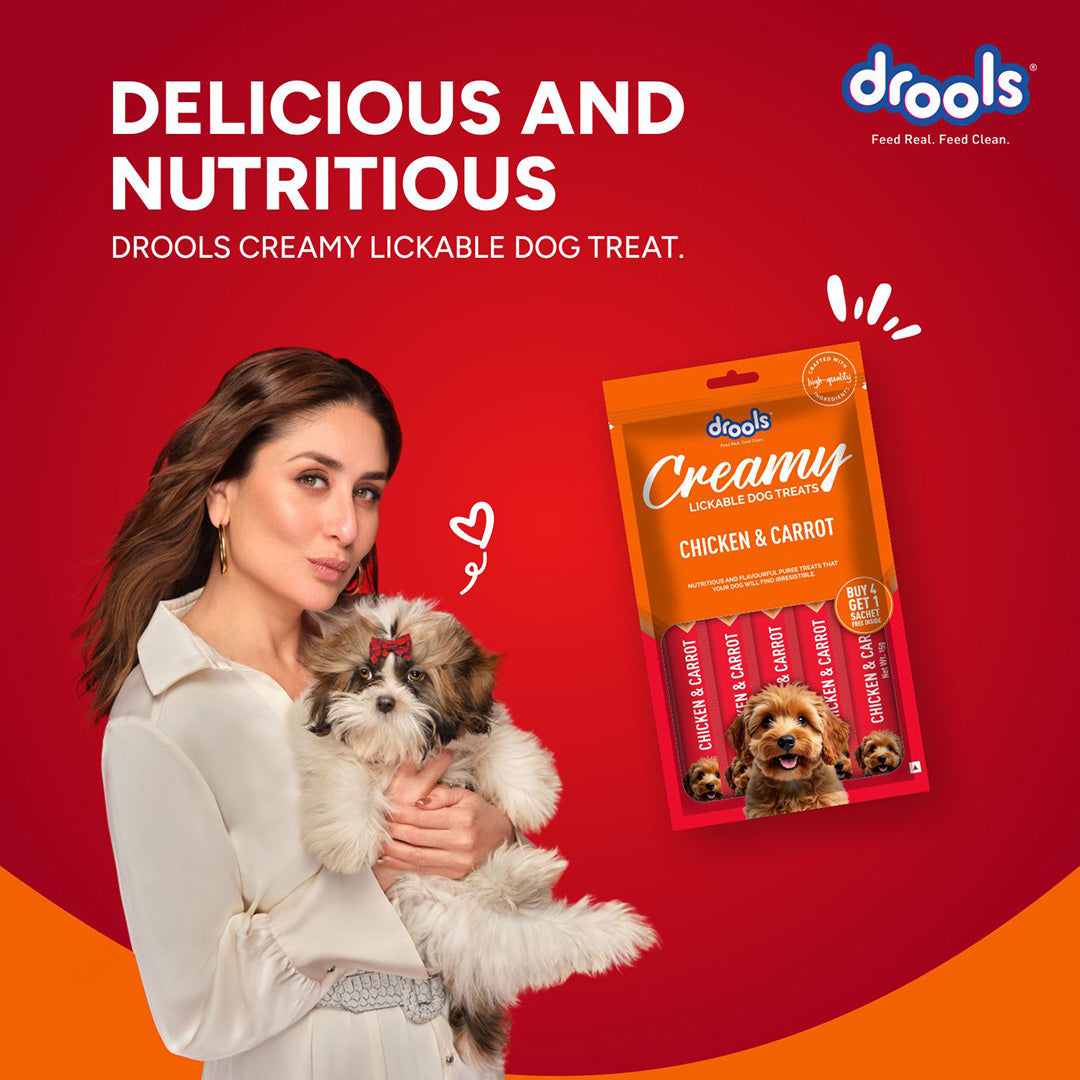 Drools Dog Treats, Creamy Chicken & Carrot 5 Sticks Tasty & Nutritious Snack for All Breeds, (15g x5) ,75g