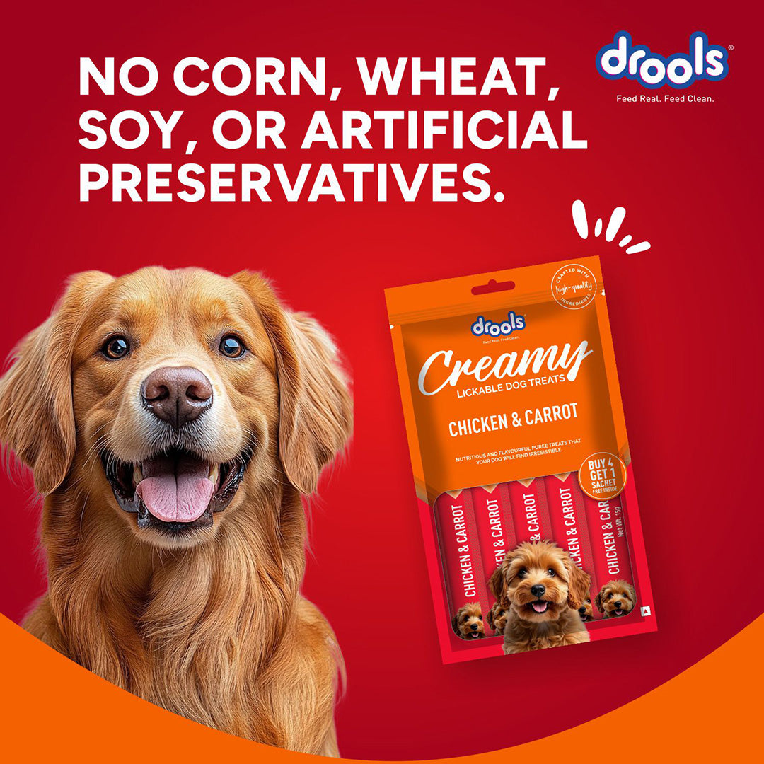 Drools Dog Treats, Creamy Chicken & Carrot 5 Sticks Tasty & Nutritious Snack for All Breeds, (15g x5) ,75g