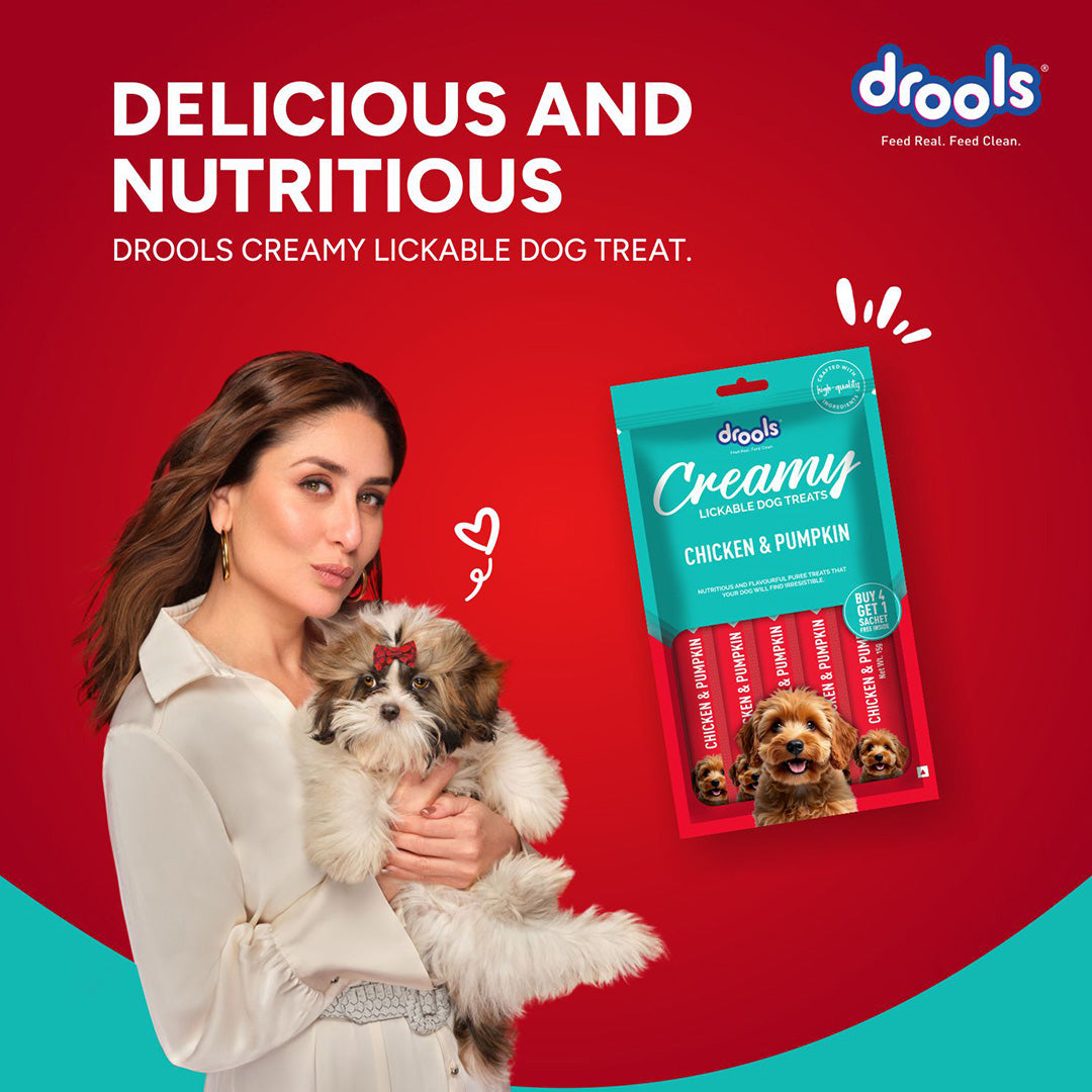 Drools Dog Treats, Creamy Chicken & Pumpkin, Tasty & Nutritious Snack for All Breeds, (15g x5) ,75g