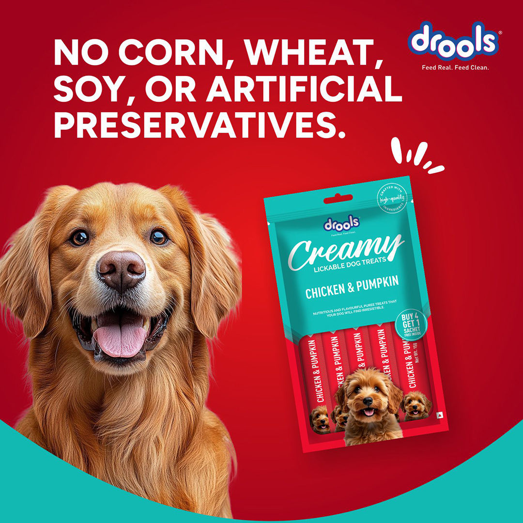 Drools Dog Treats, Creamy Chicken & Pumpkin, Tasty & Nutritious Snack for All Breeds, (15g x5) ,75g