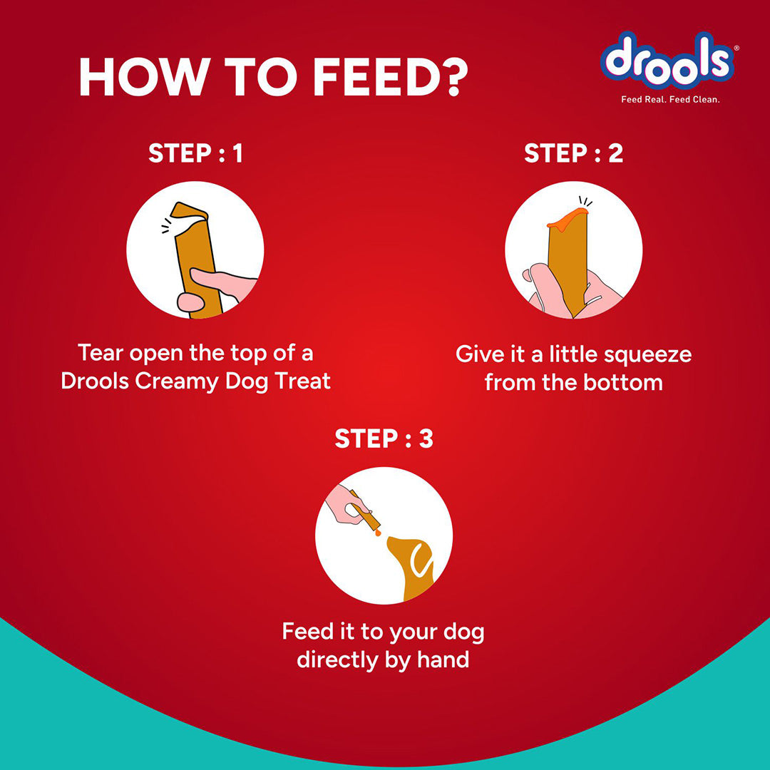 Drools Dog Treats, Creamy Chicken & Pumpkin, Tasty & Nutritious Snack for All Breeds, (15g x5) ,75g
