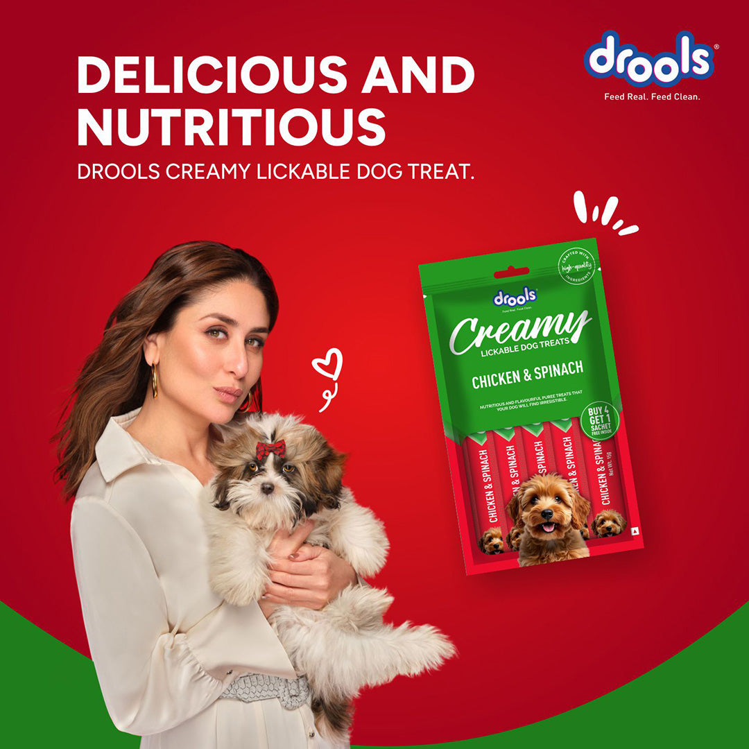 Drools Dog Treats, Creamy Chicken & Spinach 5 Sticks Tasty & Nutritious Snack for All Breeds, (15g x5) ,75g