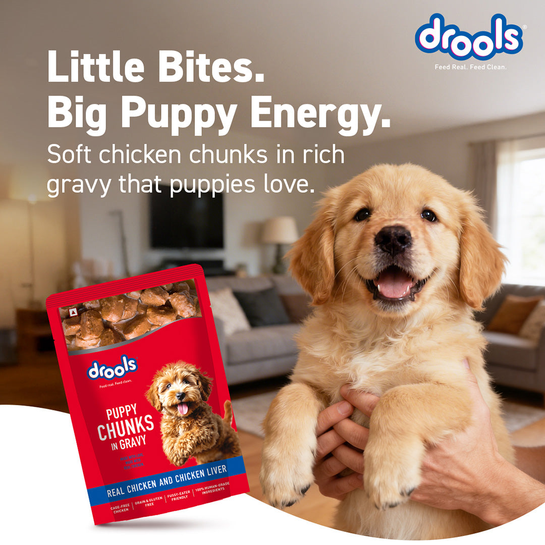 Puppy Chicken Chunks Gravy 60g (10+2)Pc