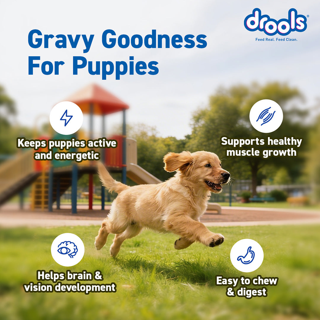 Puppy Chicken Chunks Gravy 60g (10+2)Pc