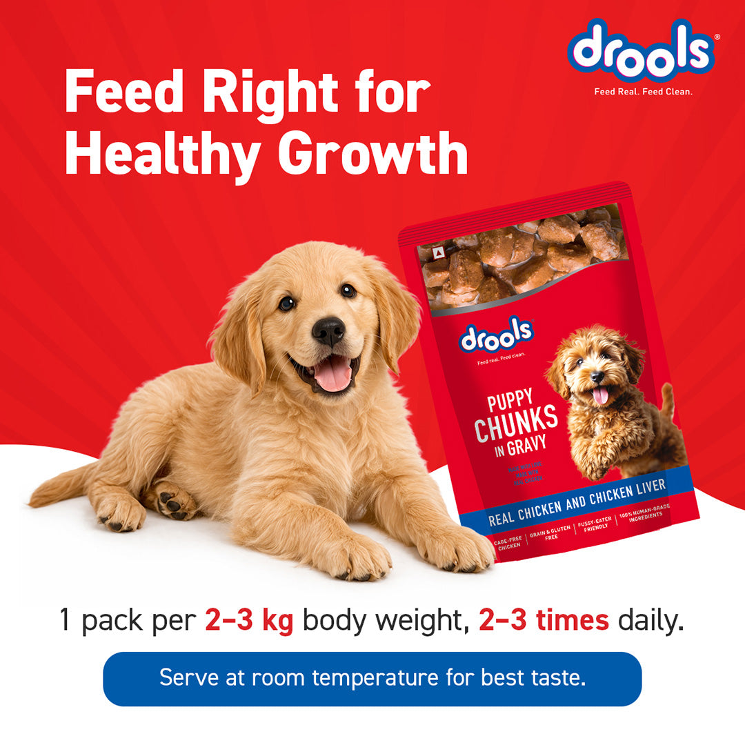 Puppy Chicken Chunks Gravy 60g (10+2)Pc