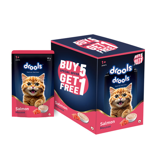Drools Salmon Mousse Cat 80gm (5+1) Pc