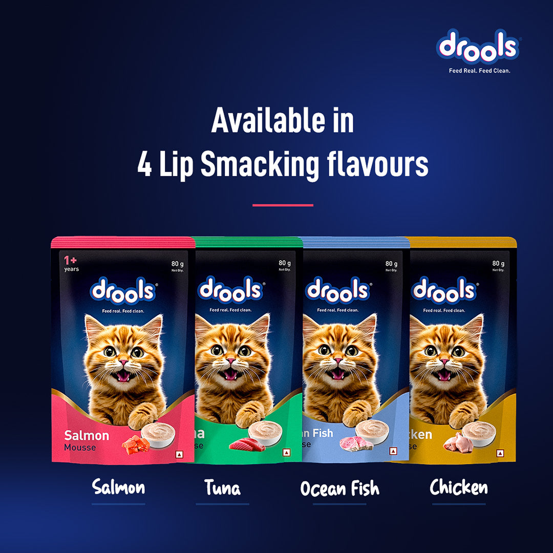 Drools Salmon Mousse Cat 80gm (5+1) Pc
