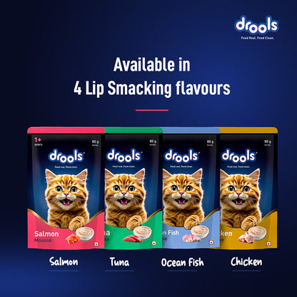 Drools Salmon Mousse Cat 80gm (5+1) Pc