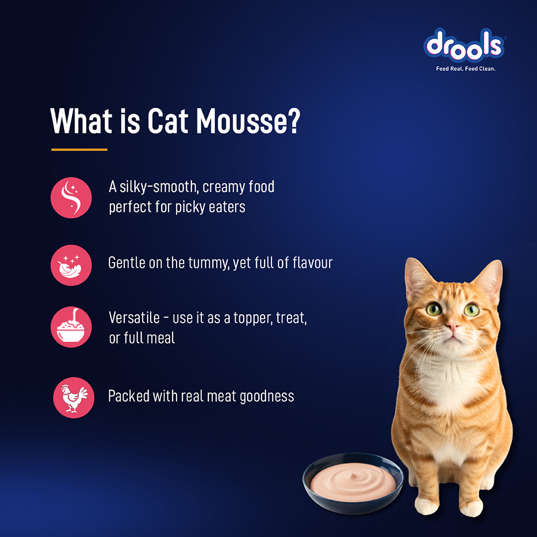 Drools Salmon Mousse Cat 80gm (5+1) Pc