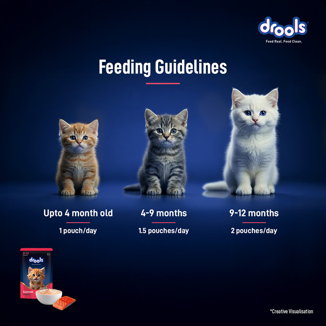 Drools Salmon Mousse Kitten 80gm (5+1) Pc