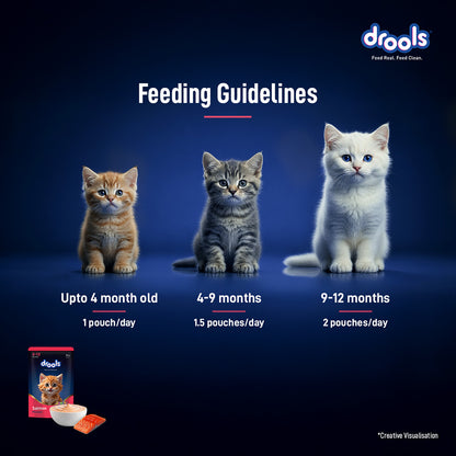 Drools Salmon Mousse Kitten 80gm (5+1) Pc