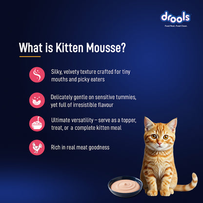 Drools Salmon Mousse Kitten 80gm (5+1) Pc