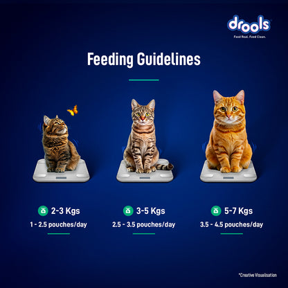Drools Tuna Mousse Cat 80gm (5+1) Pc