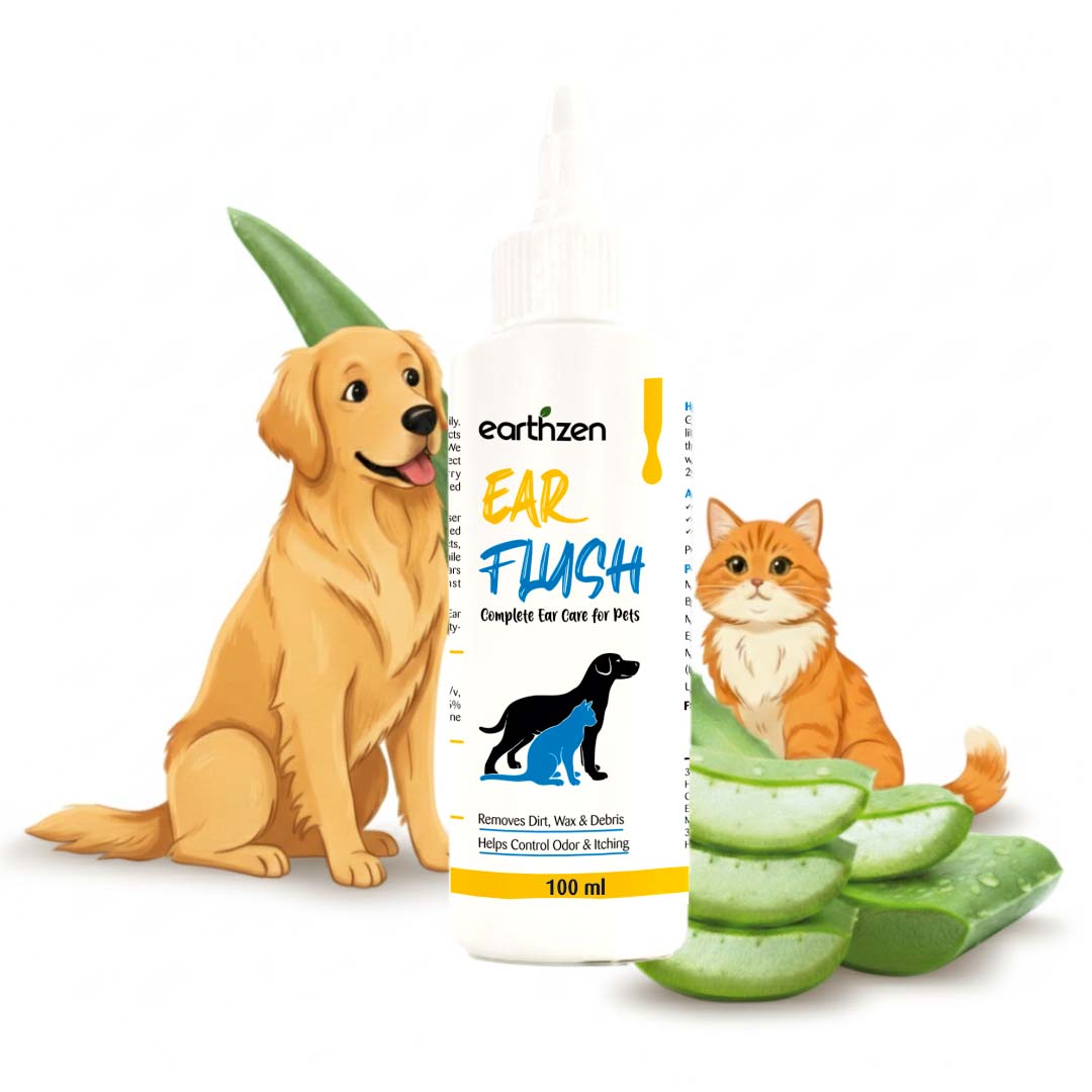 Earthzen Ear flush | 100ml