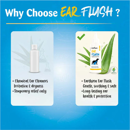 Earthzen Ear flush | 100ml