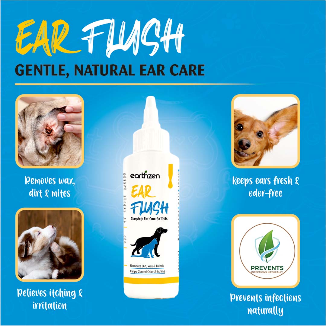 Earthzen Ear flush | 100ml