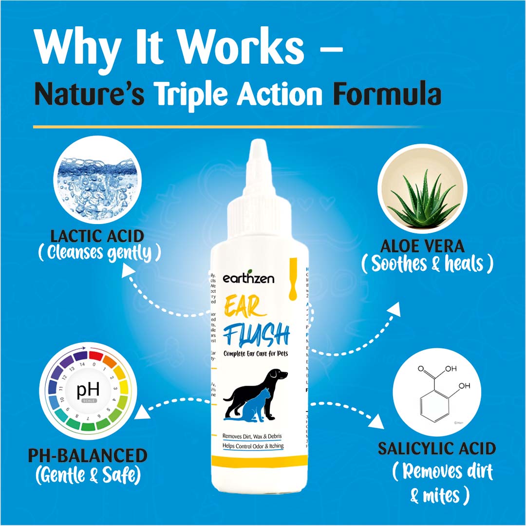 Earthzen Ear flush | 100ml