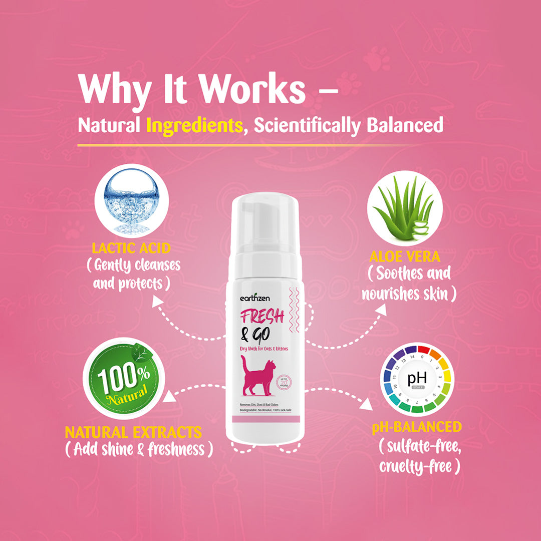 Earthzen Fresh & Go Dry Shampoo Cat | 150ml