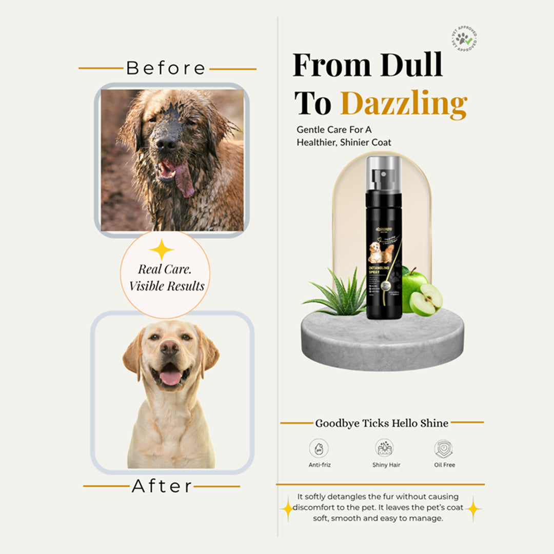 Chelsea's Detangling Spray for Dog