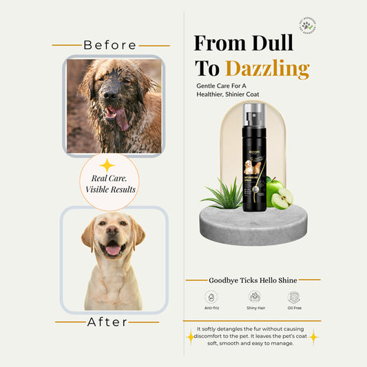 Chelsea's Detangling Spray for Dog