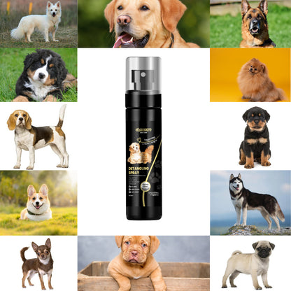 Chelsea's Detangling Spray for Dog