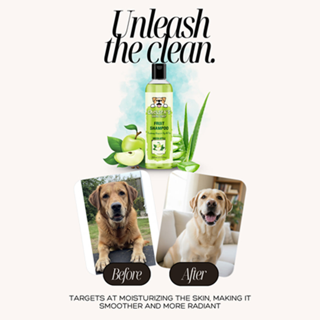 Dr. Chelsea's Green Apple Fruit Conditing Shampoo for Dogs & Cats
