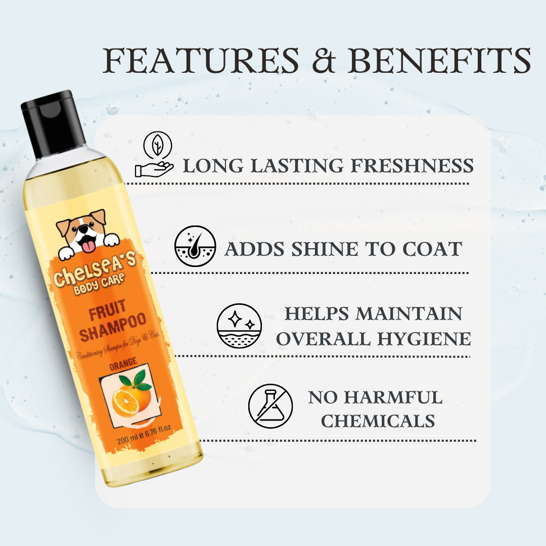 Dr. Chelsea's Orange Fruit Conditing Shampoo for Dogs & Cats
