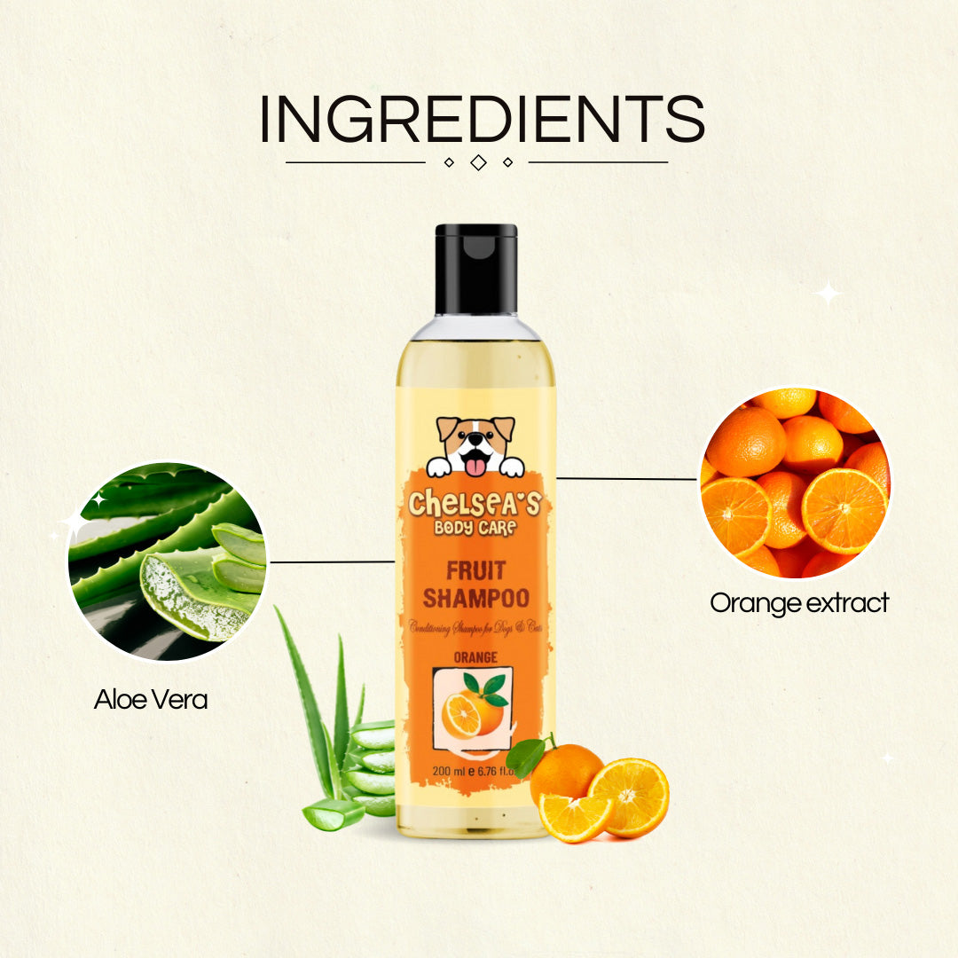 Dr. Chelsea's Orange Fruit Conditing Shampoo for Dogs & Cats