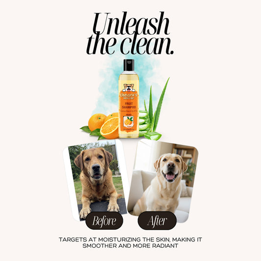 Dr. Chelsea's Orange Fruit Conditing Shampoo for Dogs & Cats