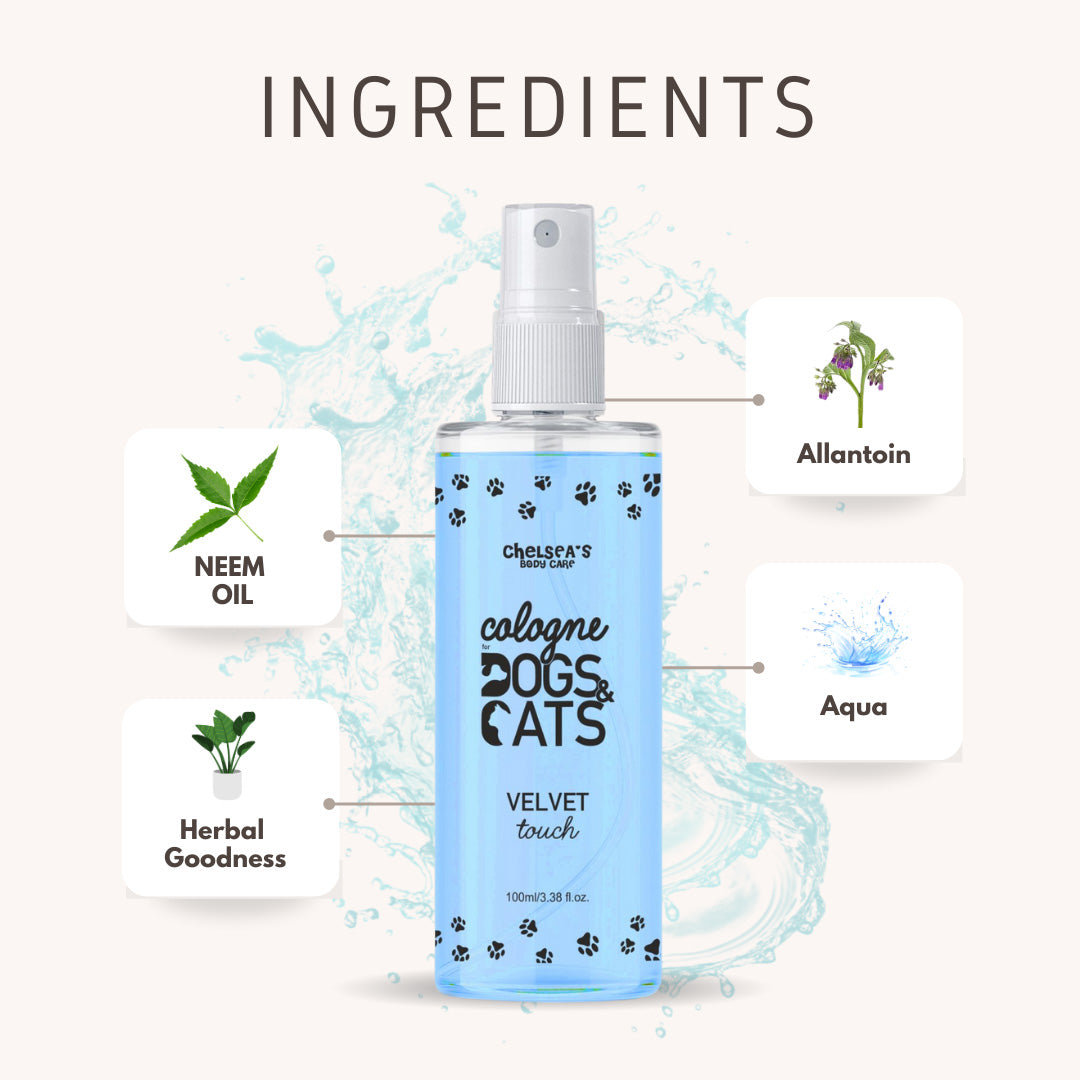 Chelsea's Velvet Splash Cologne for Dogs & Cats