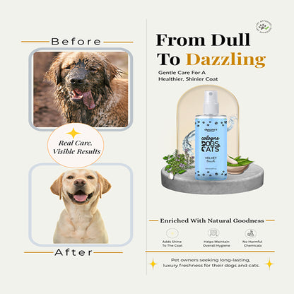 Chelsea's Velvet Splash Cologne for Dogs & Cats