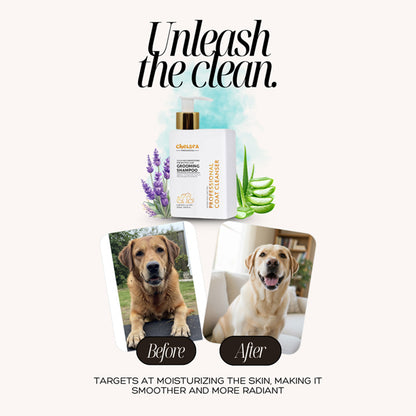 Dr. Chelsea's Professional Grooming Shampoo for Dogs & Cats