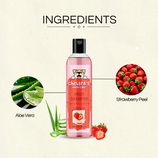 Dr. Chelsea's Strawberry Fruit Conditing Shampoo for Dogs & Cats