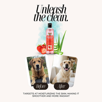 Dr. Chelsea's Strawberry Fruit Conditing Shampoo for Dogs & Cats