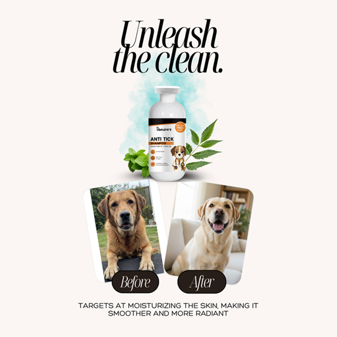 Dr. Chelsea's Neem Oil Anti Tick Shampoo for Dogs & Cats