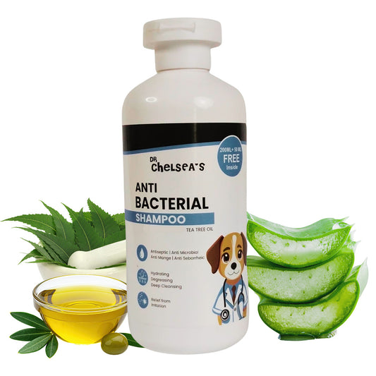 Dr. Chelsea’s Anti Bacterial Dog Shampoo
