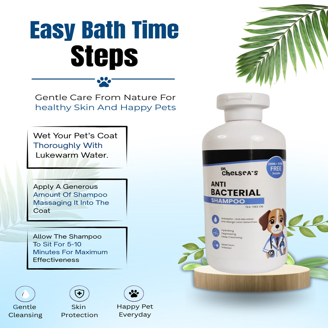 Dr. Chelsea’s Anti Bacterial Dog Shampoo