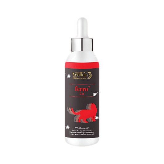 FERRO PLUS CAT LIQUID - Animeal