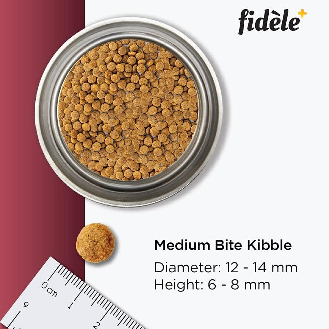 FIDELE+ ADULT SENIOR & Chicken 2.7 kg 
