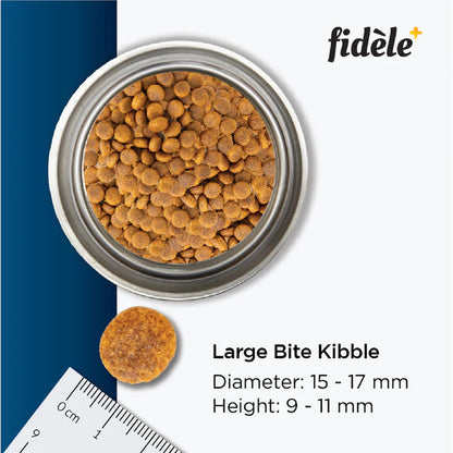 FIDELE+ ADULT LARGE 2.7 kg 