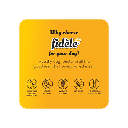 FIDELE+ ADULT LARGE 900g