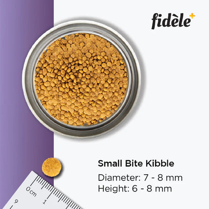 FIDELE+ ADULT SMALL & MEDIUM 900g