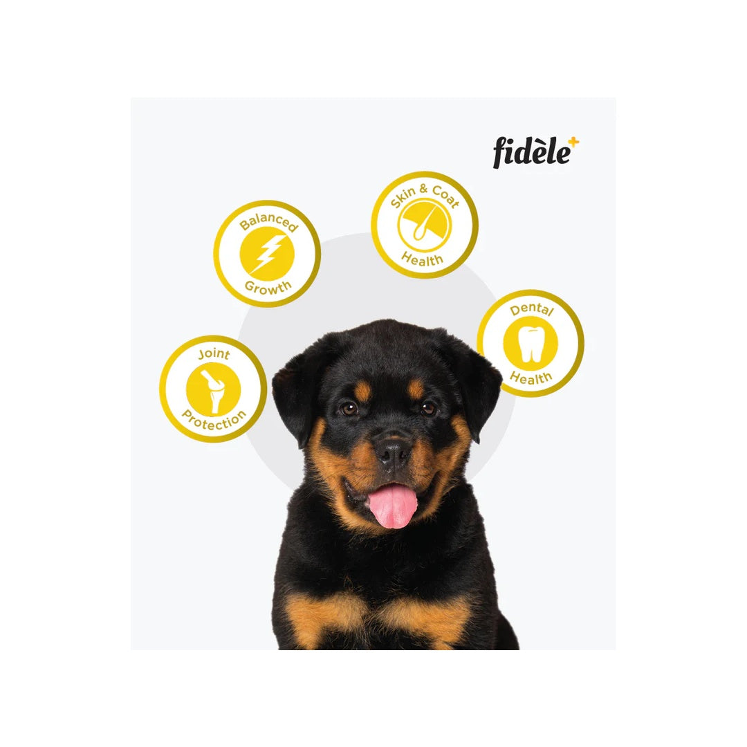 FIDELE+ LARGE PUPPY 2.7 kg 