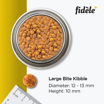 FIDELE+ LARGE PUPPY 900g