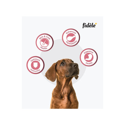 FIDELE+ SMALL & MEDIUM PUPPY 900g