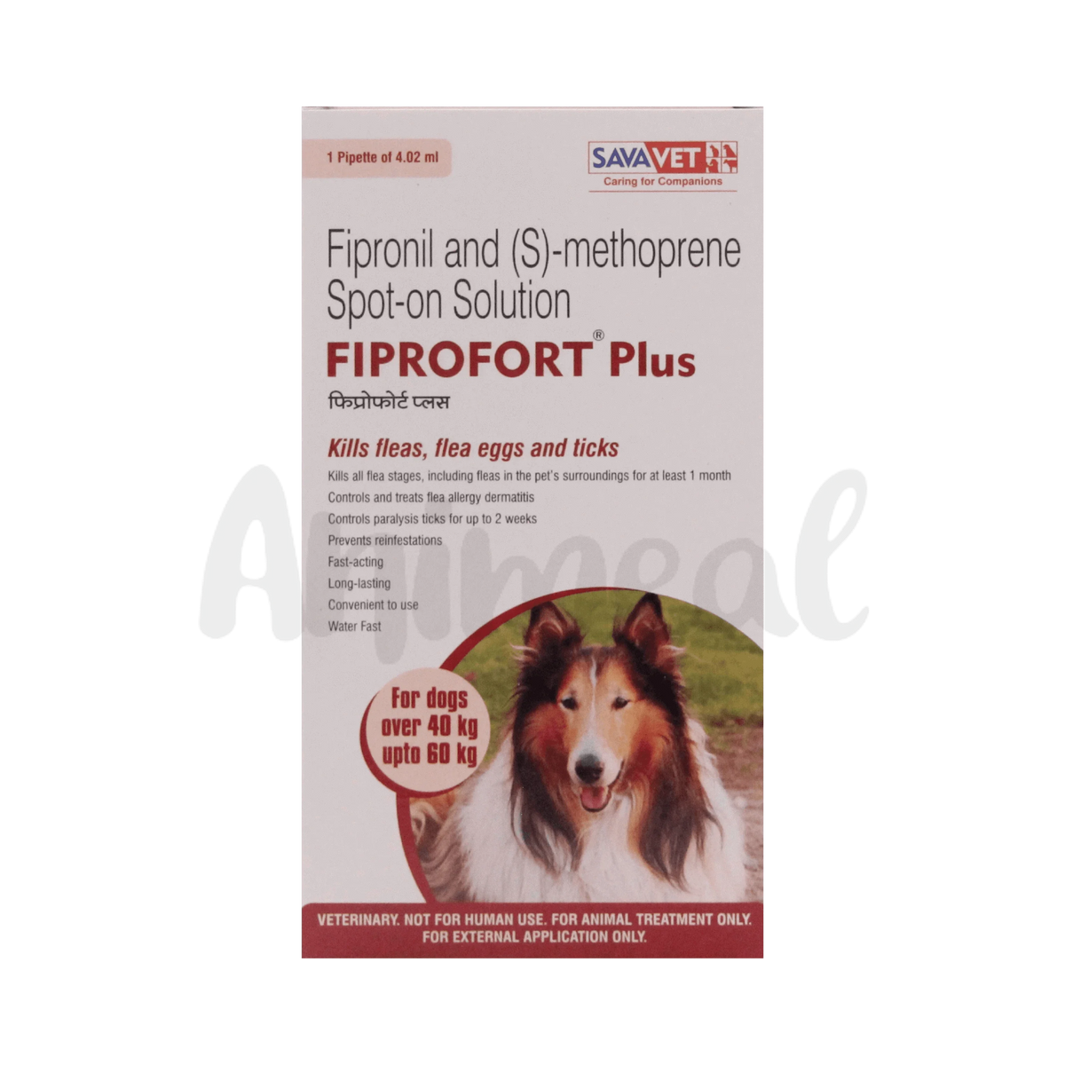 FIPROFORT PLUS (40-60KG) DOG SPOT ON - Animeal
